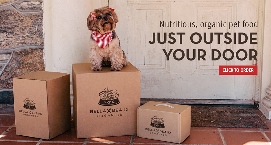 Bella and Beaux Organic Dog Food Photography 4