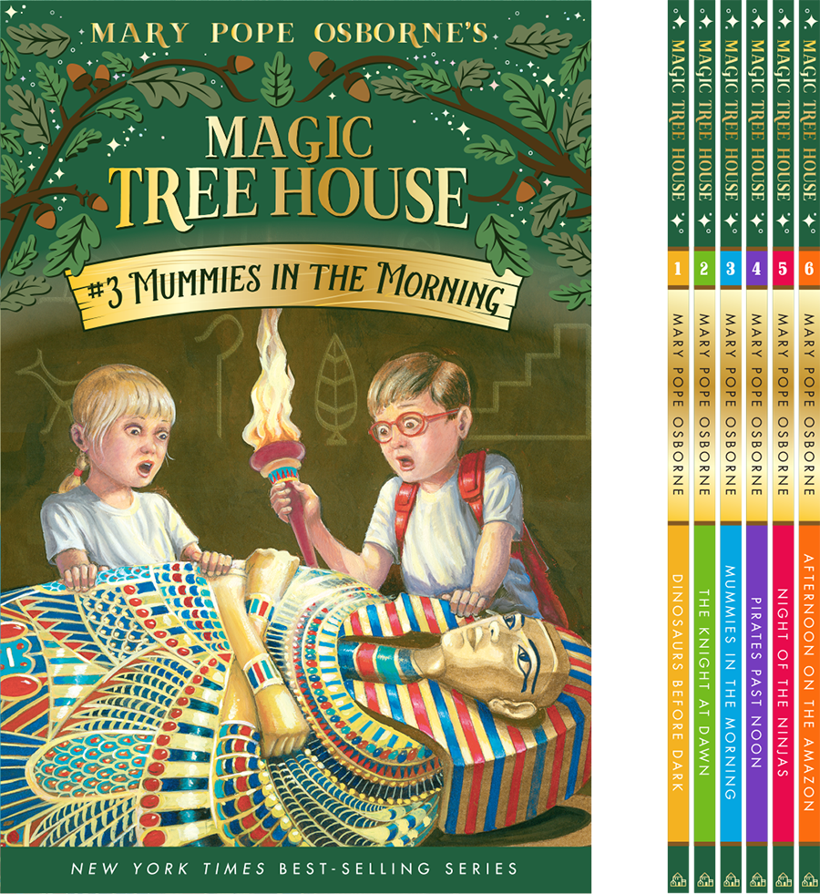 Magic Tree House Children Book Series Color-Coding System