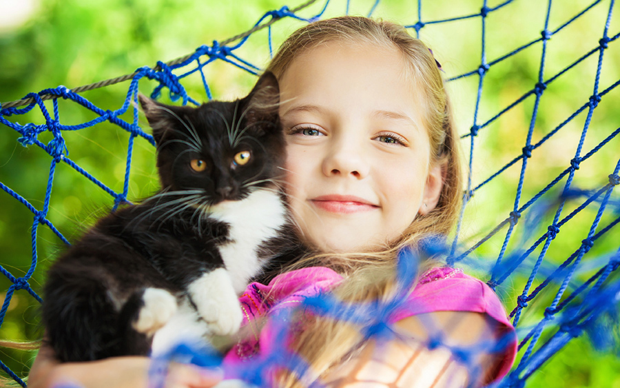 Animal Planet Pets Cat