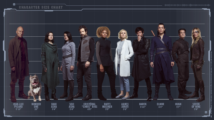 Star Trek: Picard Brand Assets and Licensing Style Guide Character Size Chart