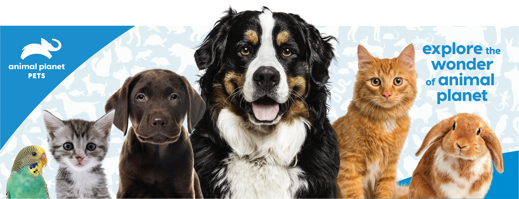 ap_pets_mass_store-display copy