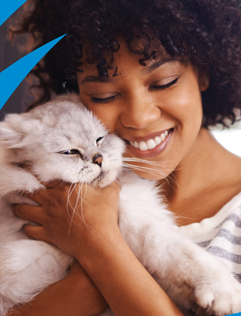 Animal Planet Pets Packaging System Photo