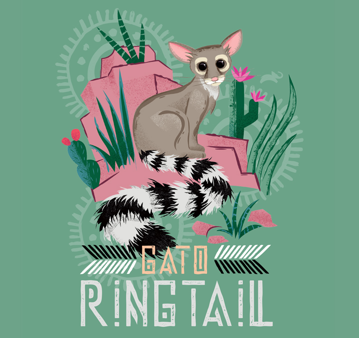 Animal Planet Latin American Kingdom Illustrations Ring Tail Design