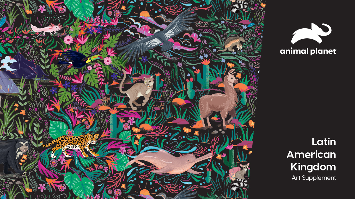 Animal Planet Latin American Kingdom Illustrations Art Supplement Cover