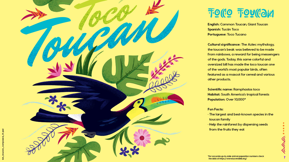 Animal Planet Latin American Kingdom Illustrations Info