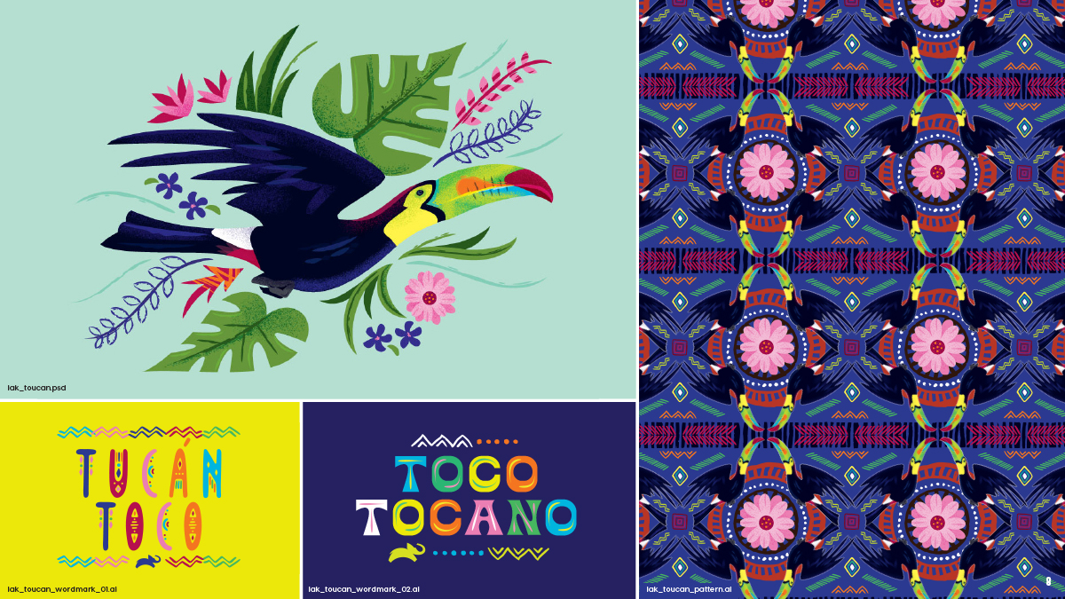 Animal Planet Latin American Kingdom Illustrations Toucan Patterns