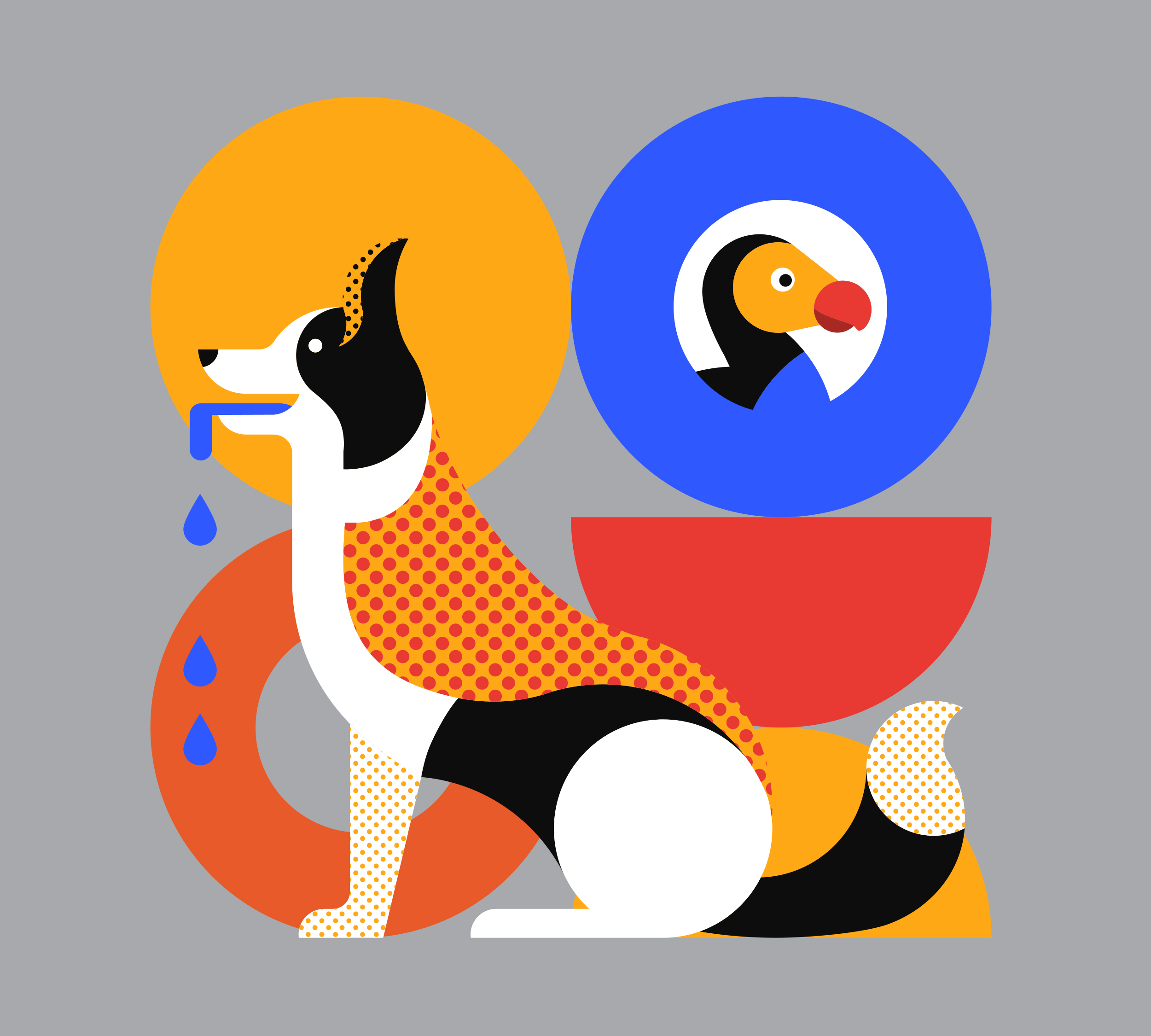 Graphic Elements & Illustrations for The Dodo | StyleWorks