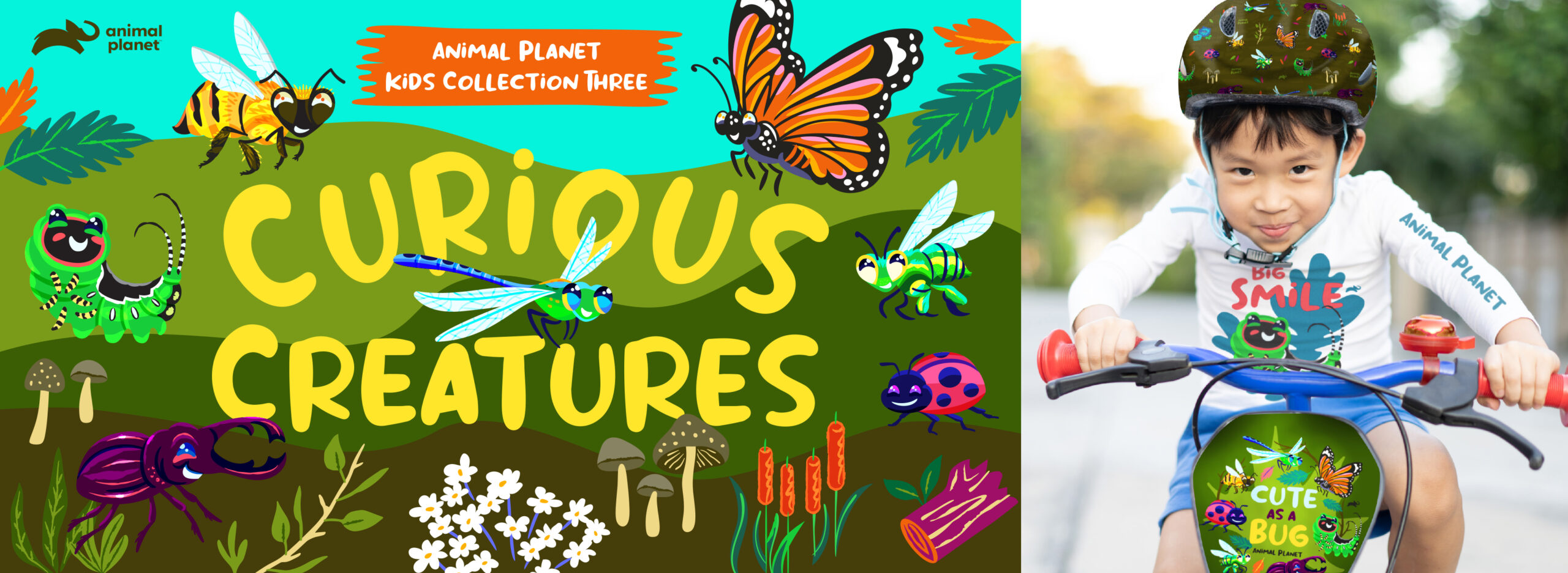 Cover image for Animal Planet Kids Collection Three: Curious Creatures.
